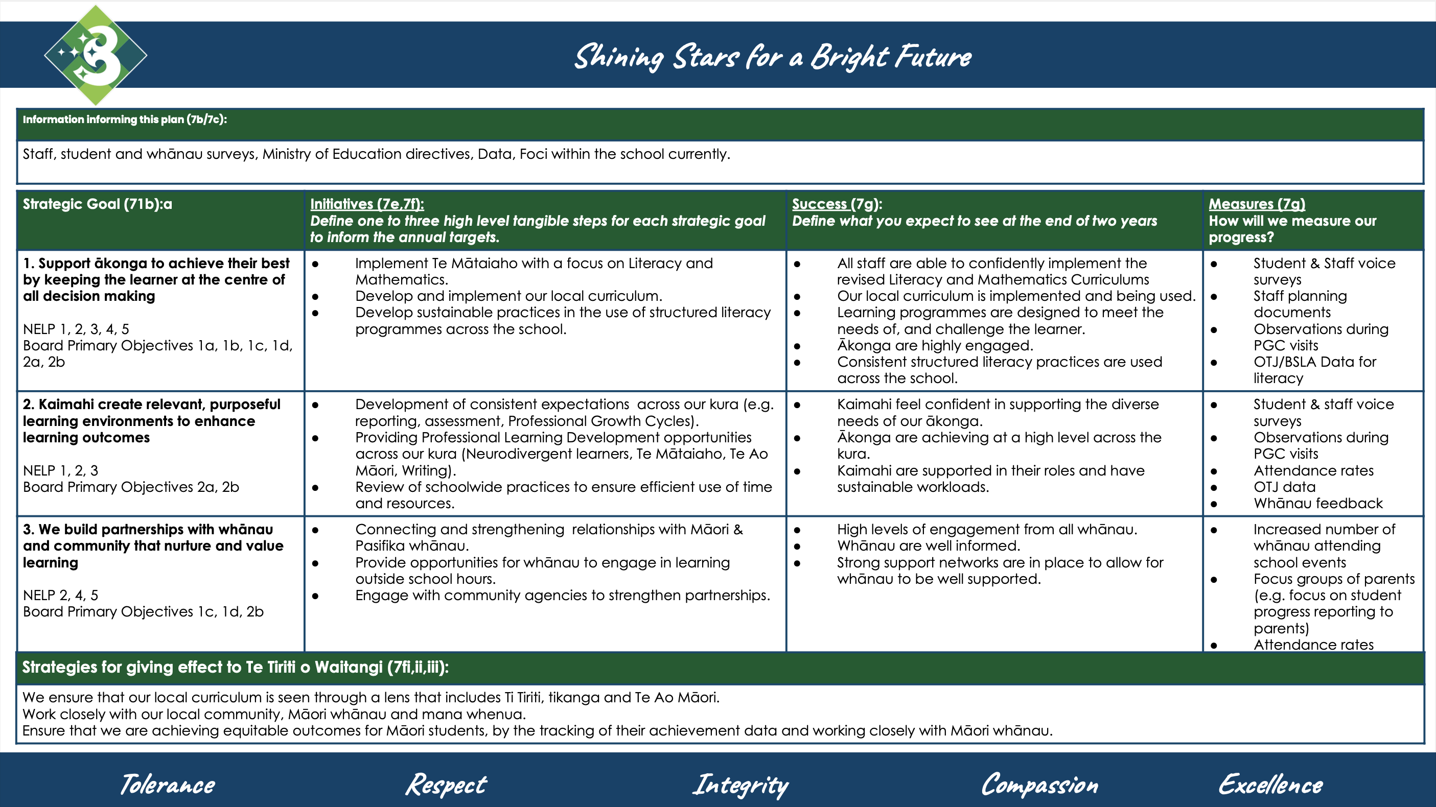 Tuia BPS Strategic Plan a