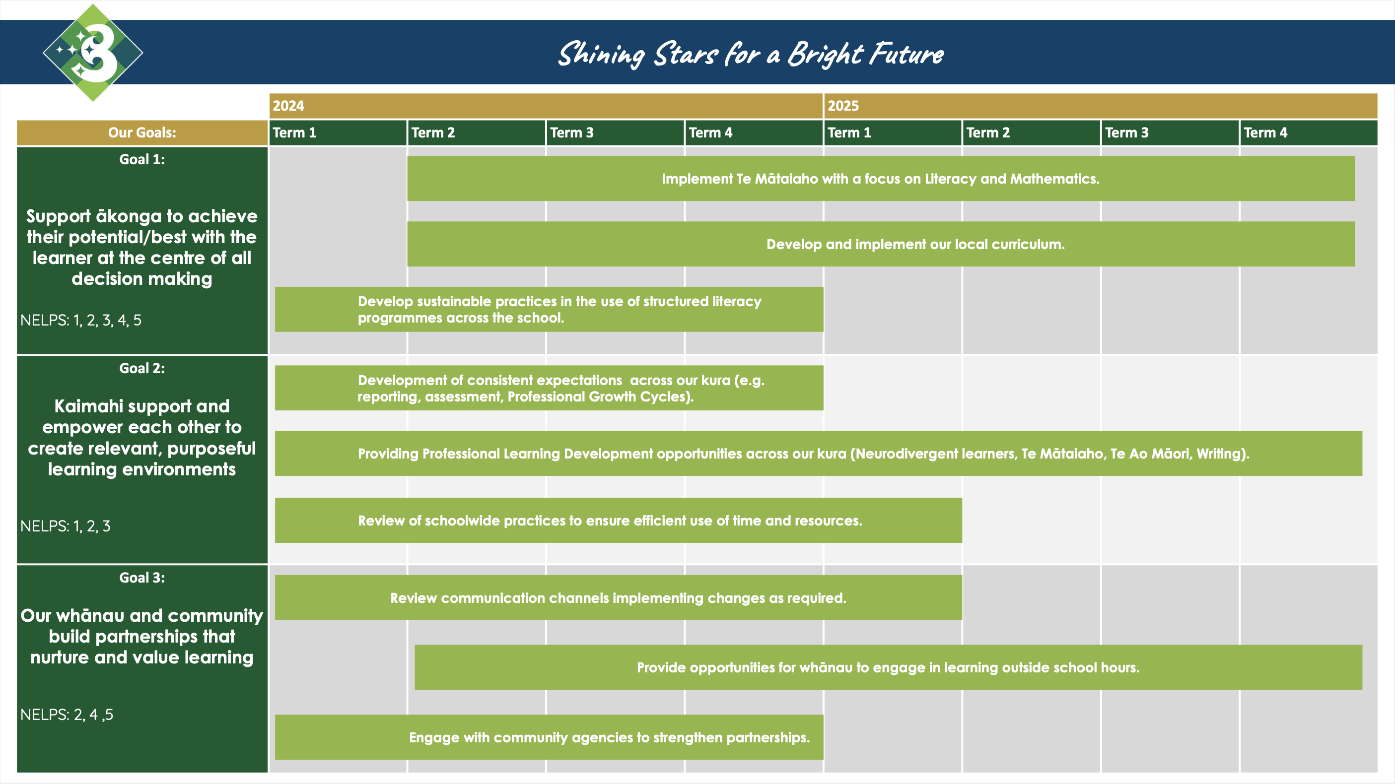 Tuia BPS Strategic Plan b